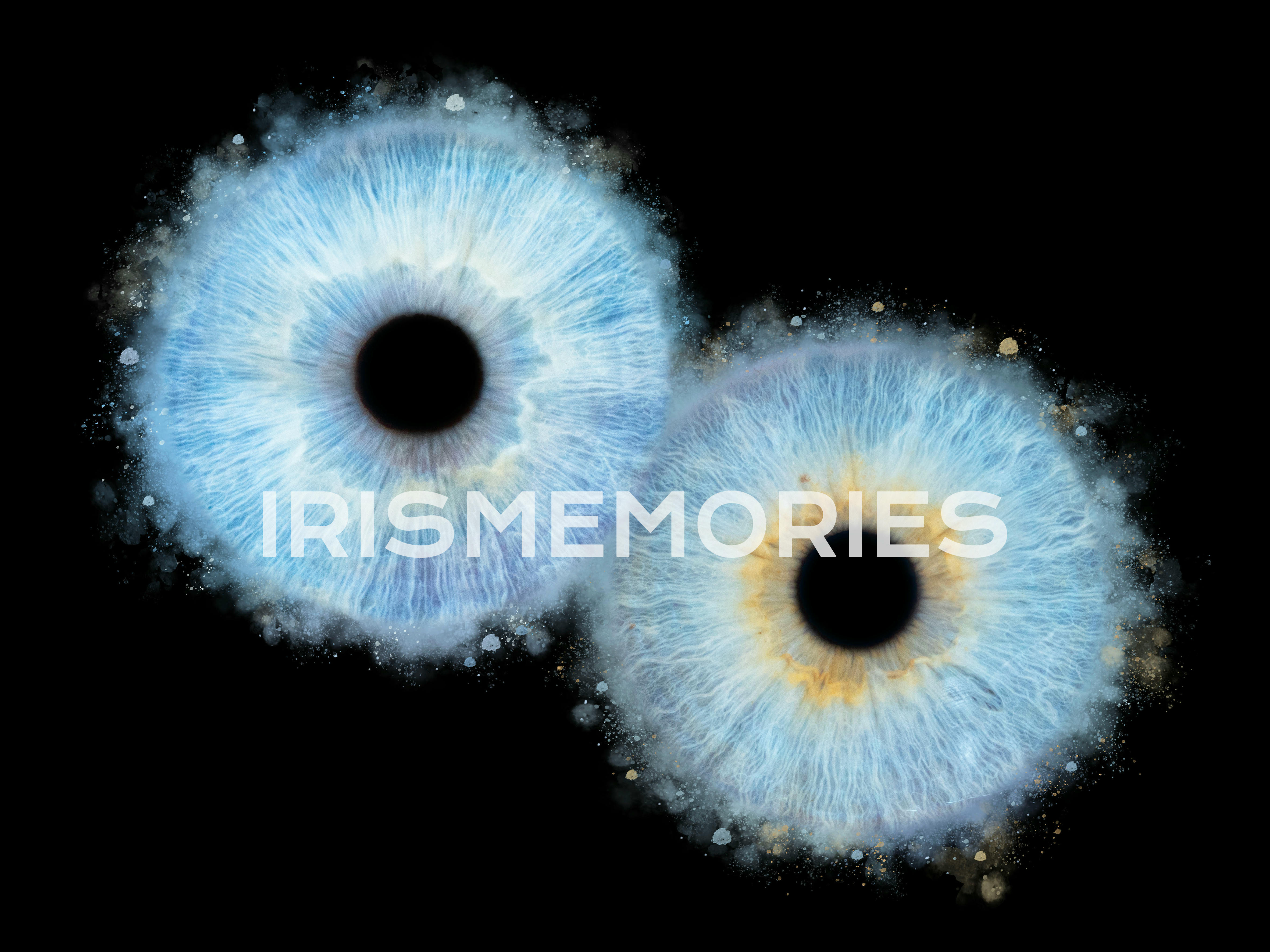 Dárek pod stromečkem