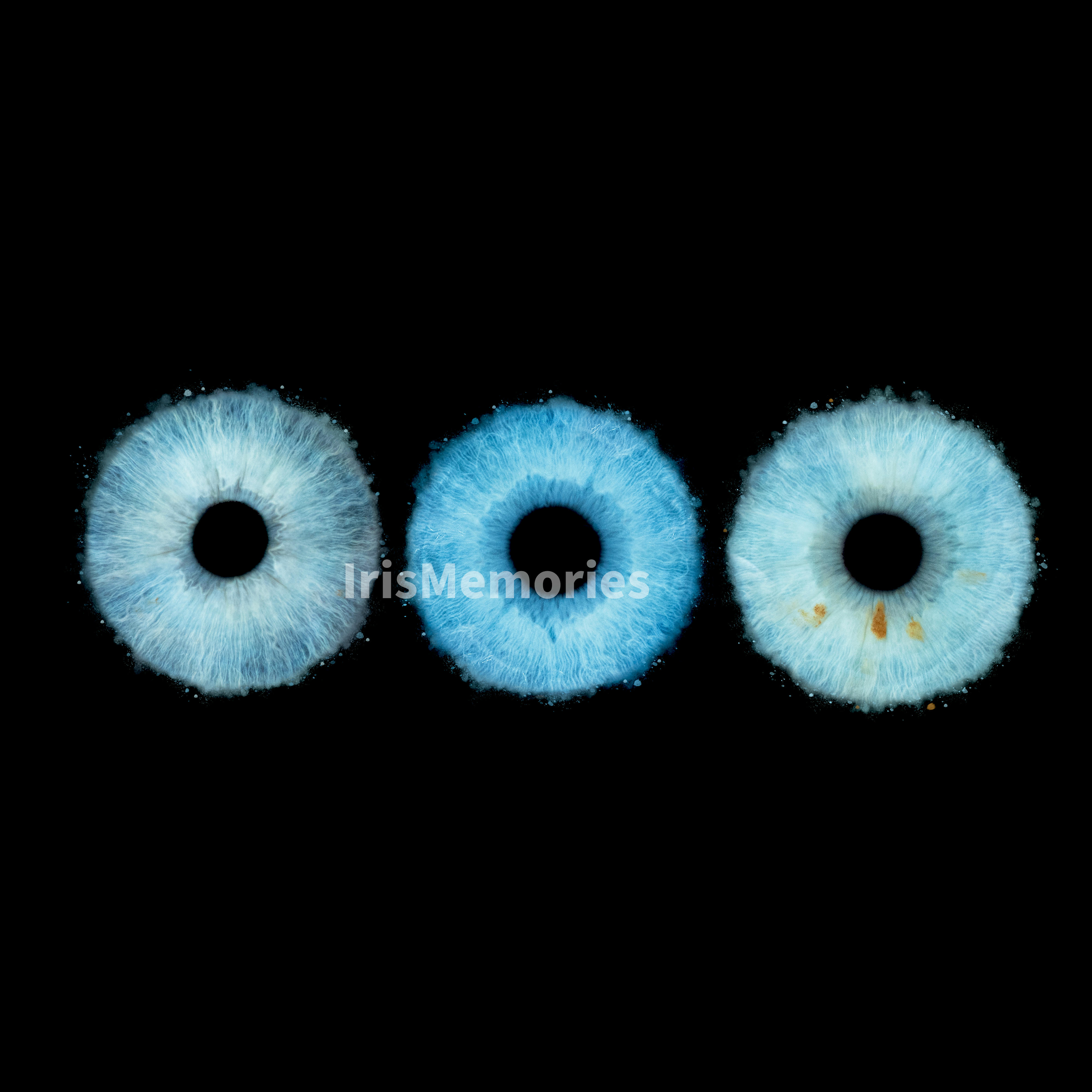 Obraz na zdi v obývacím pokoji